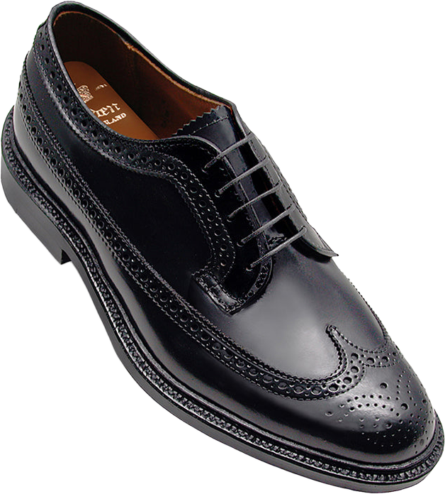 Alden 9751 Long Wing Blucher