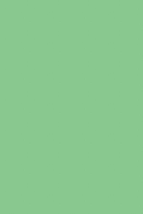 Grass Green - 3mm Flat Waxed Shoelaces